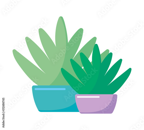 Isolated plants inside pots vector design