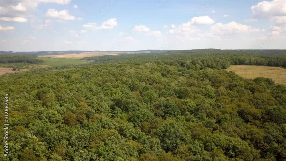 Top down aerial view of green summer forest with many fresh trees. Top down aerial view of green summer forest with many fresh trees.