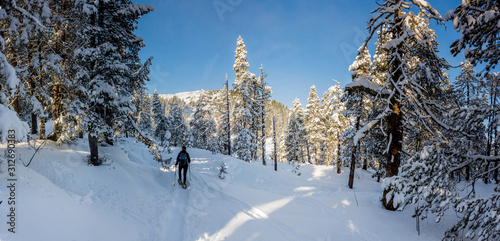 young woman snowshoeing through snow covered pine forest © Simon