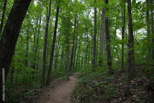 Hiking Trail