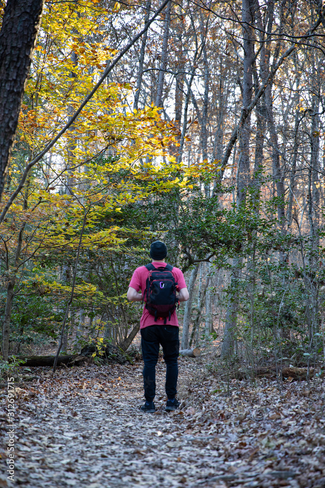 Fall Hiking Fall Hiking