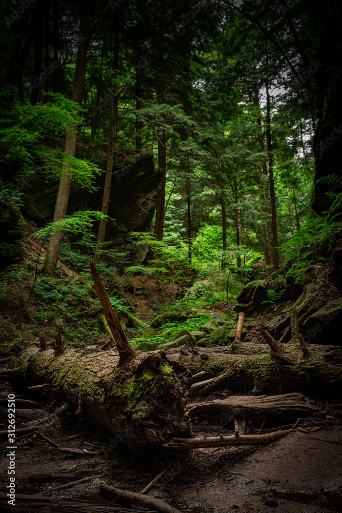 Fototapeta premium Hocking Hills Conkle's Hollow Gorge