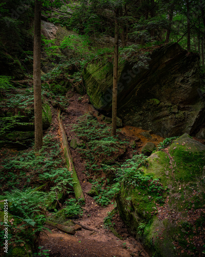 Hocking Hills Conkle's Hollow Gorge 1 photo