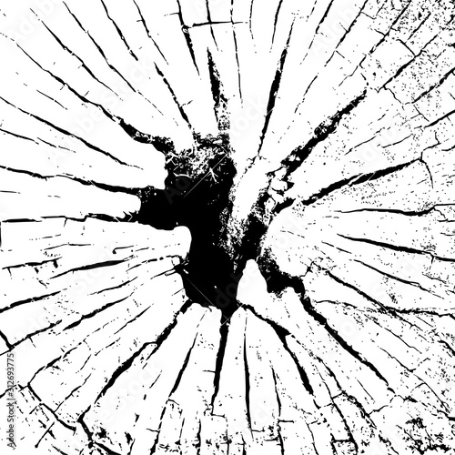 Crack Grunge Urban Background. Tree glass or soil crack. Stock Vector illustration.