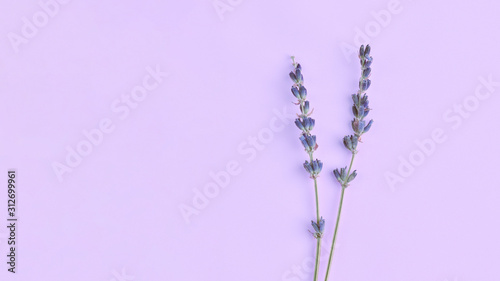 bouquet of violet lilac purple lavender flowers arranged on table background. Top view, flat lay mock up, copy space. Minimal background concept. Dry flower floral composition isolated. Spa skin care. photo