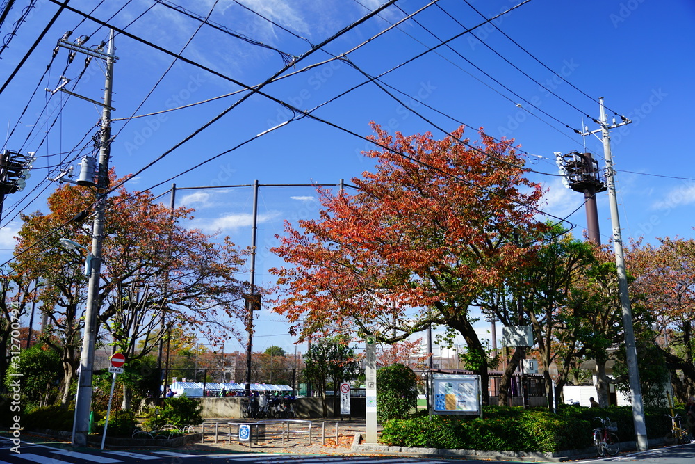Obraz premium 城北交通公園 公園 入口 志村 志村三丁目 板橋 東京