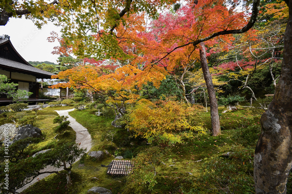 Beautiful fall colors in Ginkaku-ji Silver Pavilion during the autumn season in Kyoto Beautiful fall colors in Ginkaku-ji Silver Pavilion during the autumn season in Kyoto