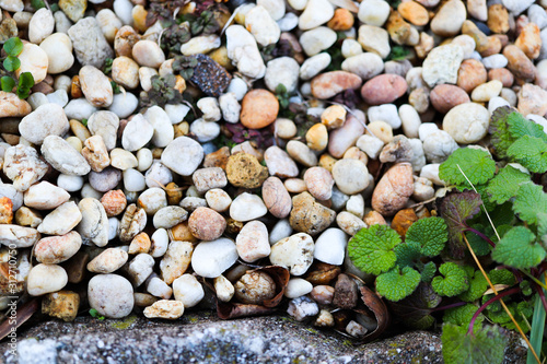 Pebbles against brick with green leaves