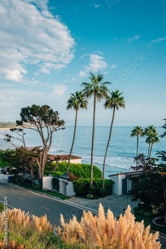 Palm trees and houses along the beach in Malibu, California