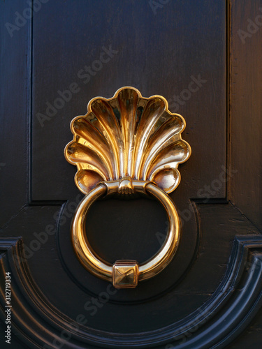 Obraz na plátne Polished brass door knocker on a dark wood door