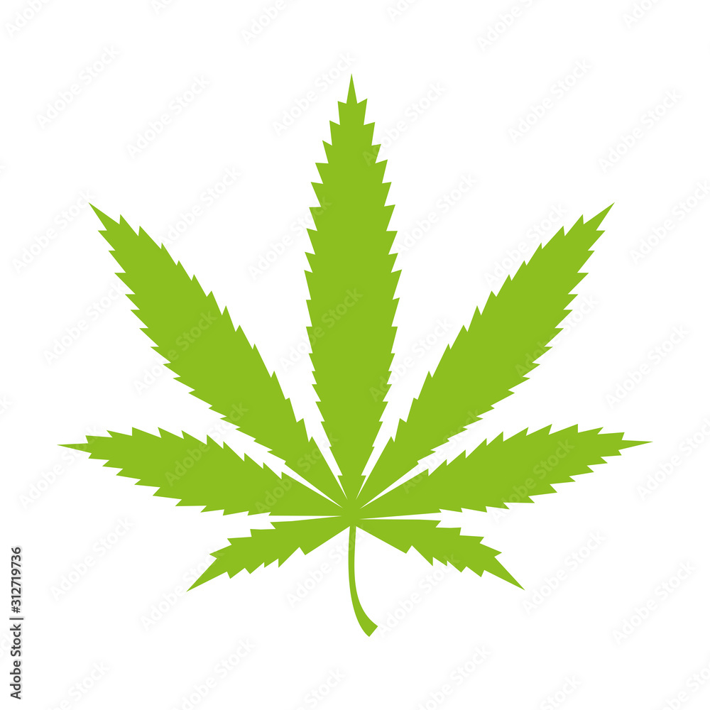 Hemp marijuana icon vector simple design Hemp marijuana icon vector simple design