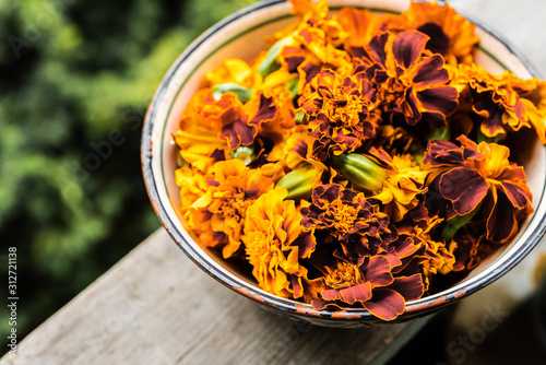 Freshly harvested marigolds (Tagetes erecta) in bowl ready for drying. Selective focus. Shallow depth of field.