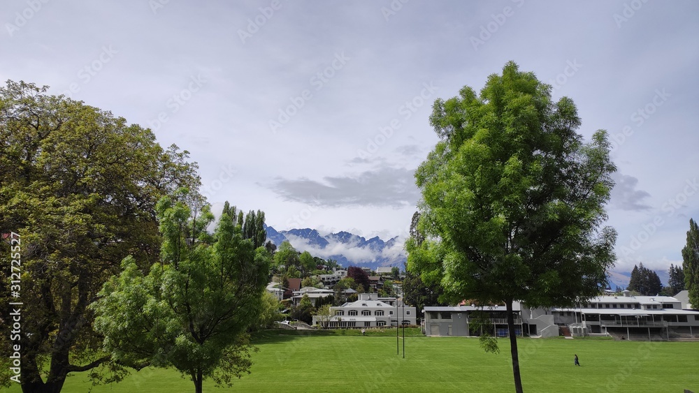 Beautiful green tree in the park. Beautiful modern architecture with park surrounding green tree grass business office with blue sky in center city. remarkable mountain with snow on top. Colorful flow