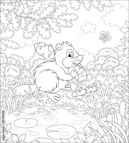 Furry beaver with a big flat tail and large teeth carrying a small gnawed log by a small lake in a forest on a beautiful summer day, black and white vector cartoon illustration