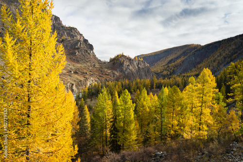 The Kurai steppe is autumn. Chuya River Valley. Altai Republic of Kurai steppe. Autumn. 