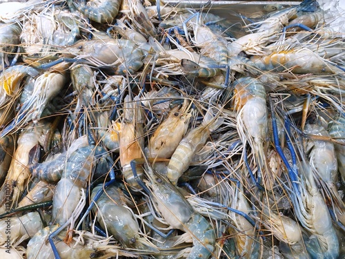 Top view of fresh prawns for sale in the fish market, seafood on ice, fresh shrimp seafood product, as a background