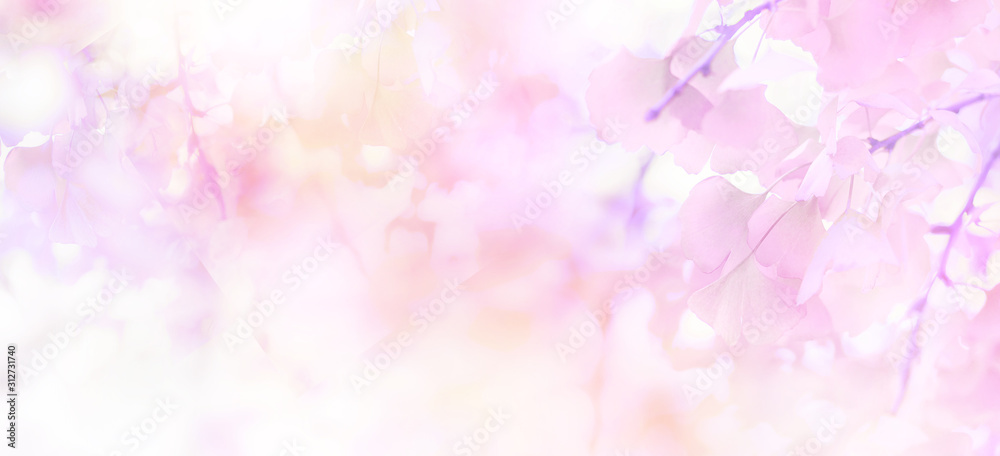 Abstract floral backdrop of purple flowers with soft style.