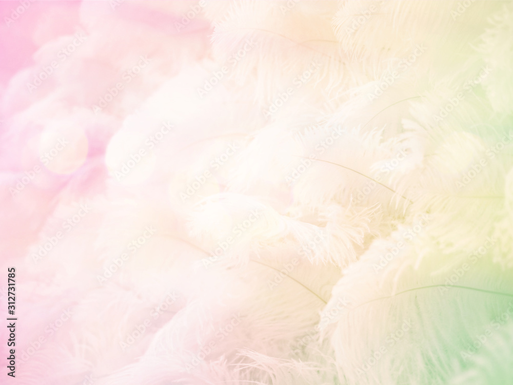 Pastel feather texture and background.