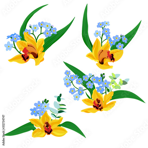 vector drawing orchid flowers