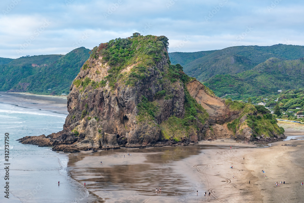 Aerial view of Lion Rock at South Piha Beach