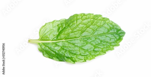 Close-up of Pudina leaf / Mint leaves Isolated white background