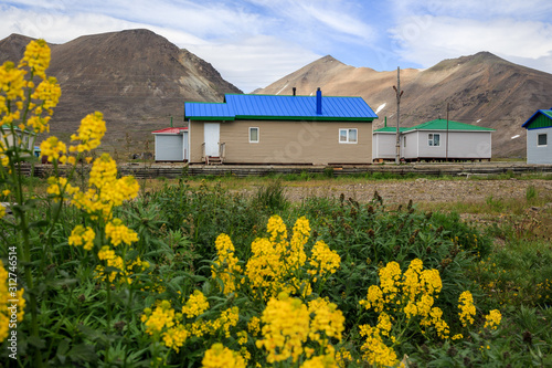 Beautiful arctic landscape with the Eskimo village Novoye Chaplino, located at the foot of the mountains. View of modern rural houses. In the foreground are yellow flowers. Chukotka, Siberia, Russia. photo