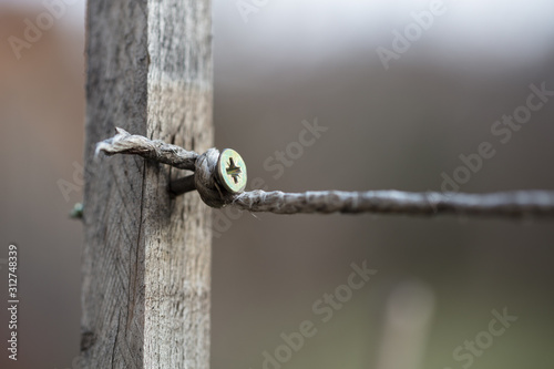 Metal screw inside piece of wood with rope around it. Metal nail inside piece of wood. © Domagoj