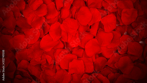 A large amount of red rose petals from above. Valentine's Day