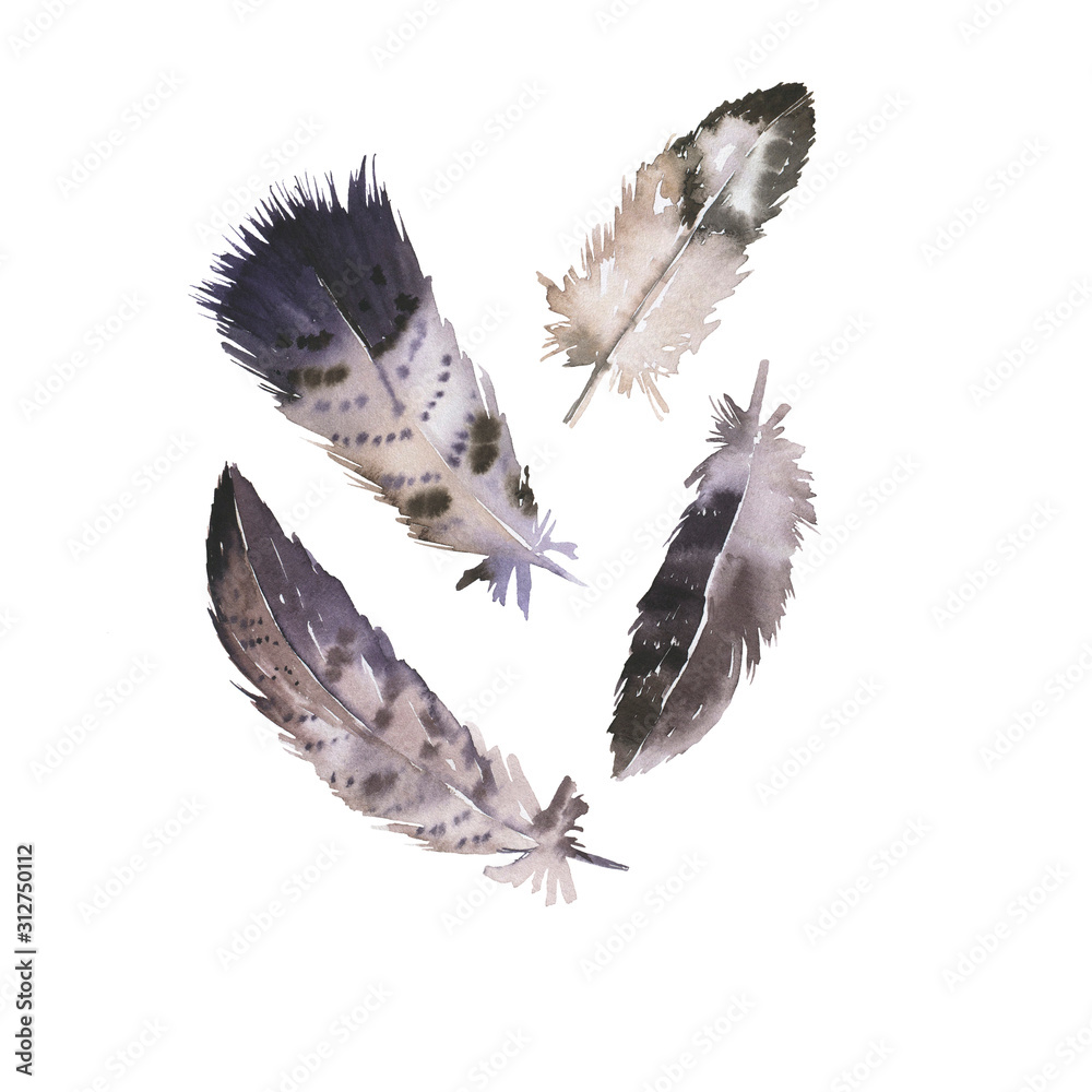 Obraz premium Set of decorative grey feathers isolated on white background. Hand drawn watercolor illustration.
