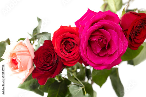 Beautiful rose bouquet isolated on a white