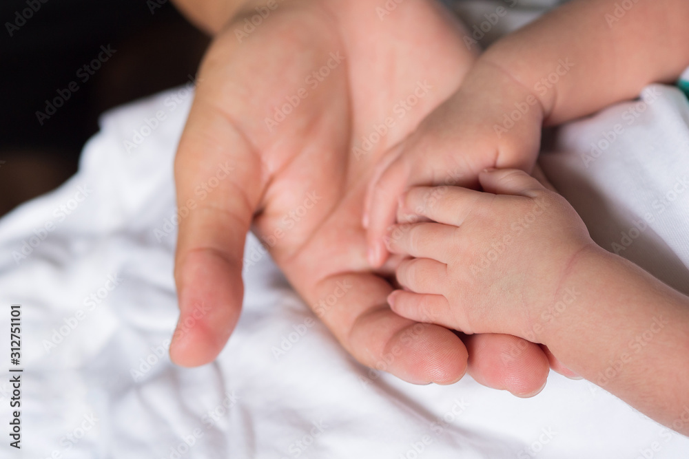 Hands of newborn baby in the hand of mother on white cloth. Close up of baby hands. Space for text. Family concept Hands of newborn baby in the hand of mother on white cloth. Close up of baby hands. Space for text. Family concept
