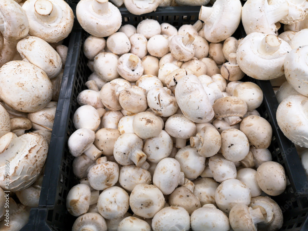 Champignon mushrooms in the store as a background Champignon mushrooms in the store as a background