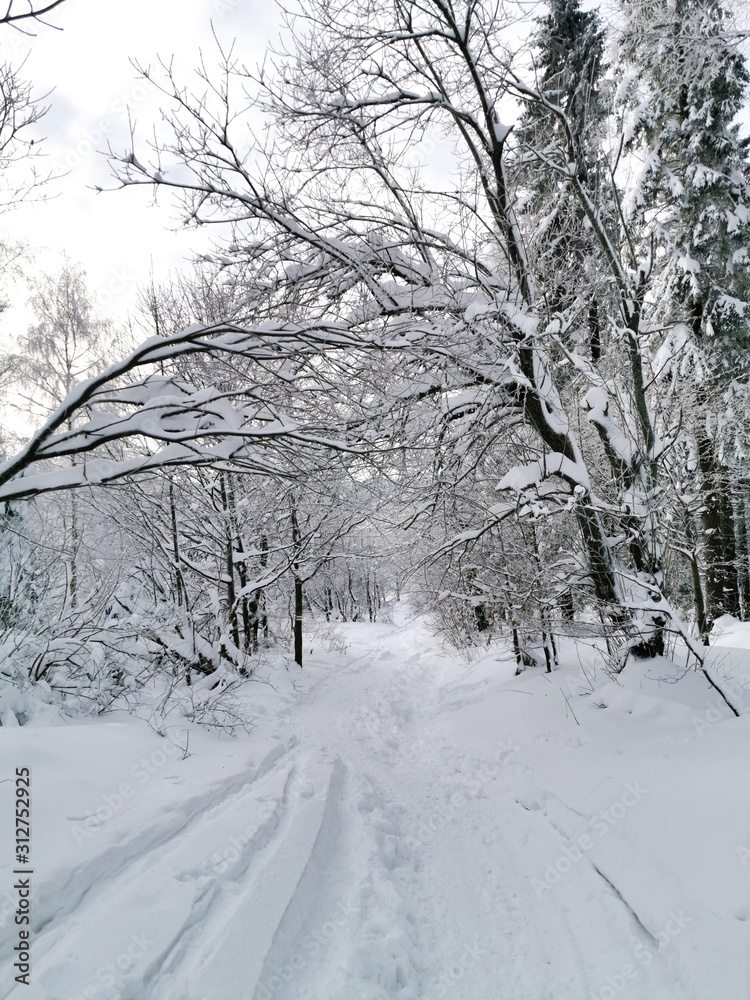 Snowy road in winter forest, Bieszczady, Poland