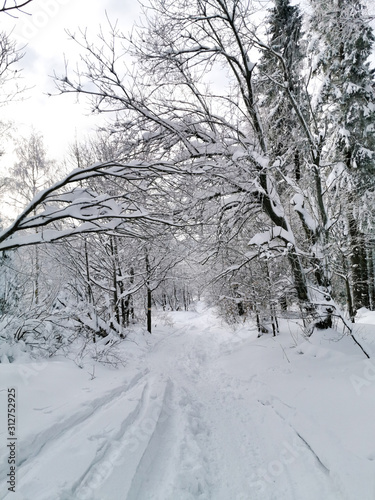 Obraz na płótnie Snowy road in winter forest, Bieszczady, Poland w salonie