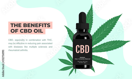 The benefits of cannabidiol(CBD), combination with THC, reduce pain and associated with diseases. Hemp CBD oil drops in black bottle product.