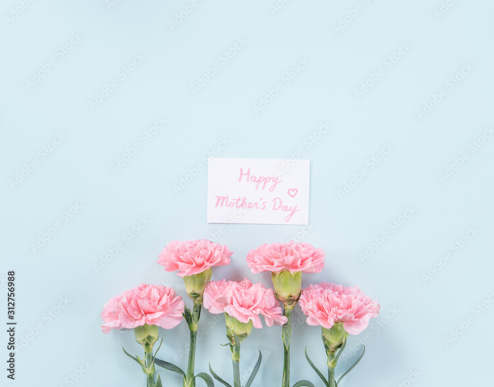 Beautiful, elegant pink carnation flower over bright light blue table background, concept of Mother's Day flower gift, top view, flat lay, overhead