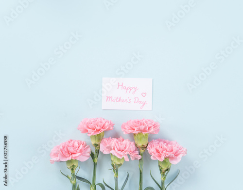 Beautiful, elegant pink carnation flower over bright light blue table background, concept of Mother's Day flower gift, top view, flat lay, overhead © RomixImage