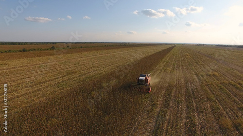 aerial view of harvesting fields with a harvester, harvester working in the field