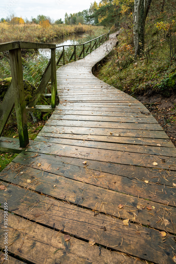 View of wooden path.