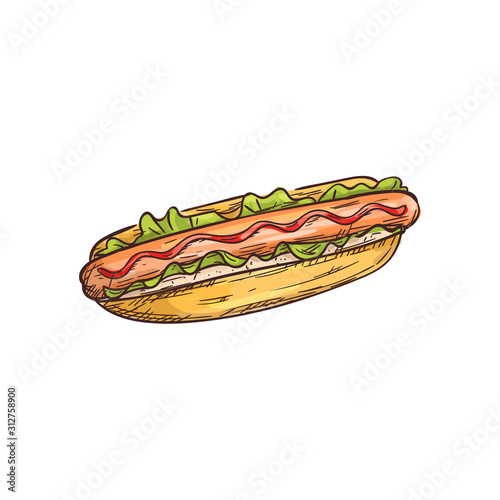 Hot dog with sausage, lettuce and ketchup isolated fastfood snack. Hotdog sketch of bun and frankfurter