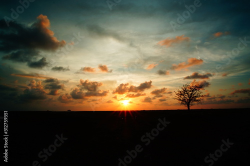 sunset and sunrise are natural beauty that is at the end of the night and the night gives perfect color to the sky so the clouds look beautiful and the silhouette of the tree.