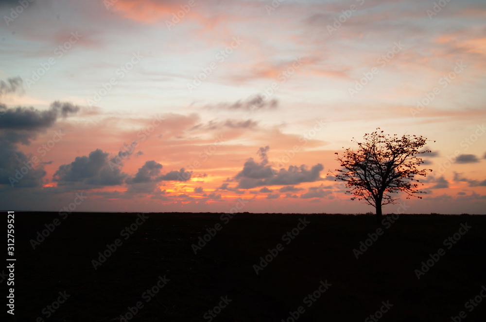 sunset and sunrise are natural beauty that is at the end of the night and the night gives perfect color to the sky so the clouds look beautiful and the silhouette of the tree.