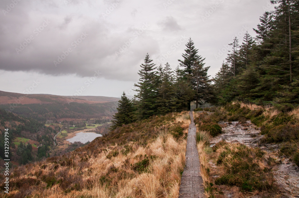 Fall in the Wicklow Mountains National Park in Ireland