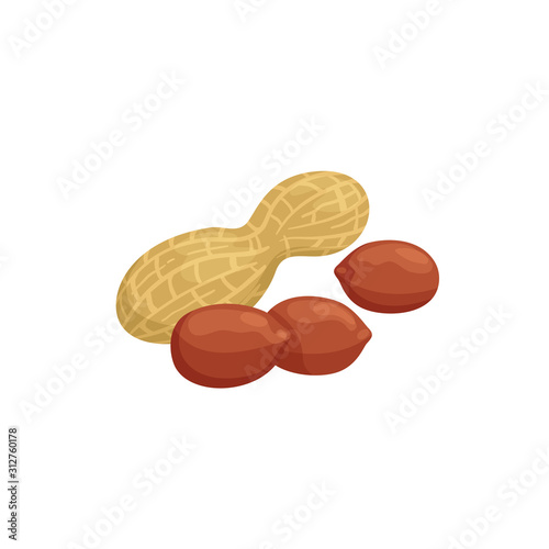 Peanut peeled pods and beans isolated groundnut. Vector goober or monkey nut, legume with edible seeds