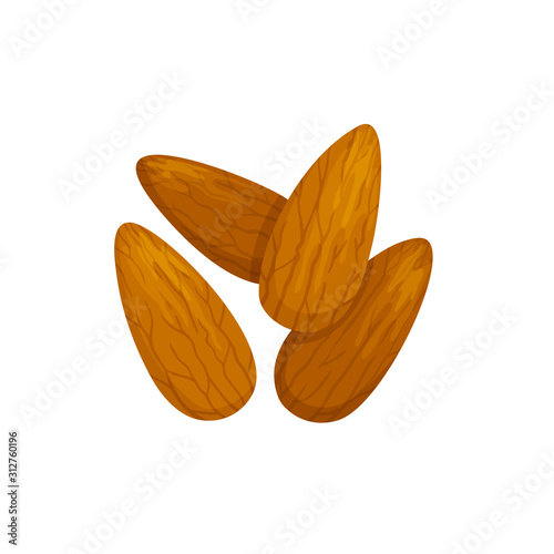 Shelled almond seeds isolated drupes of fruit. Vector edible seeds, natural vegetarian food