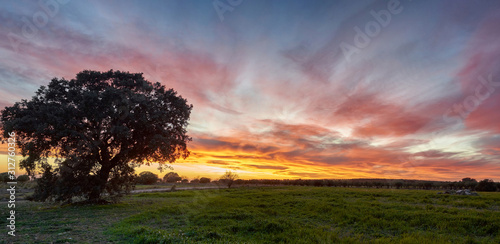 sunset in the countryside © MiguelAngel