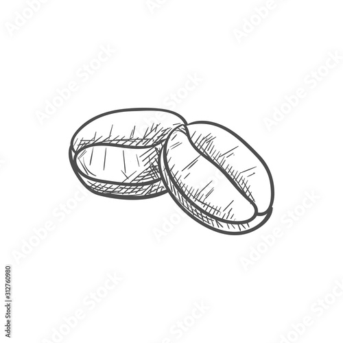 Coffee beans isolated roasted grains. Vector espresso drink ingredients, aromatic seeds
