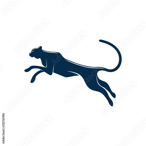 Wild black panther isolated puma or cougar. Vector running or jumping leopard silhouette