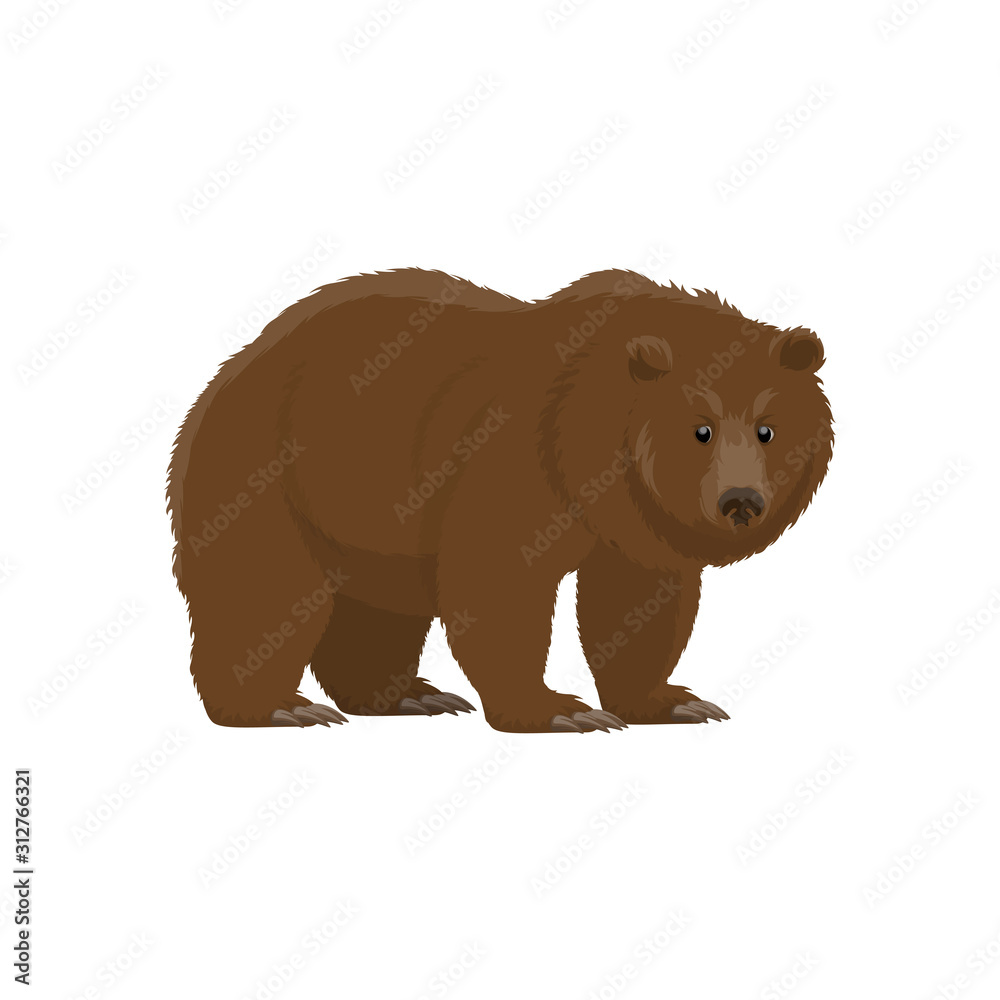 Bear wild animal vector icon. Isolated zoo mammal and hunt trophy grizzly or brown bear Bear wild animal vector icon. Isolated zoo mammal and hunt trophy grizzly or brown bear