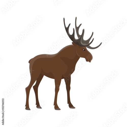 Elk wild animal vector isolated icon. Zoo mammal moose and hunt trophy wapiti elk